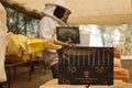Royal Jelly Syringe Tubes